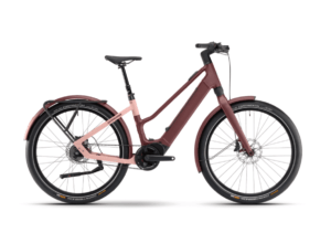 WINORA Yakun iRide Pure R5f E-Bike: 25kmh Modelljahr: 2025
